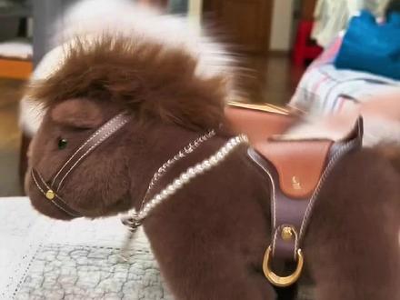 赛马 妇女臭贫!祝大家开心快乐每一天!#你的孩子也是这样吗😂😂😂