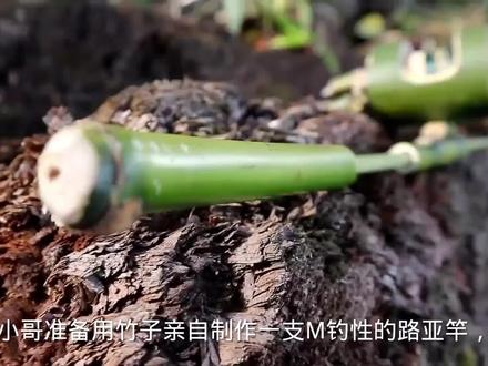 国外小伙用竹子制作路亚竿,做工虽然有点粗糙,但是钓性满不错的 #传统手工