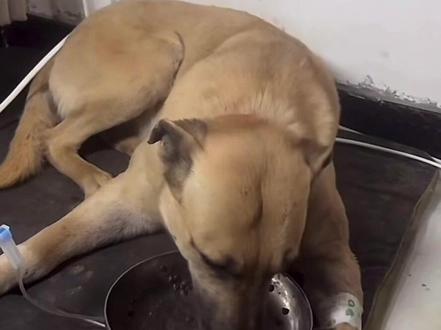 老吴是真爱逗小孩#西北刀客 #西北刀客吴队 #西北刀客大娃 #西北刀客直播