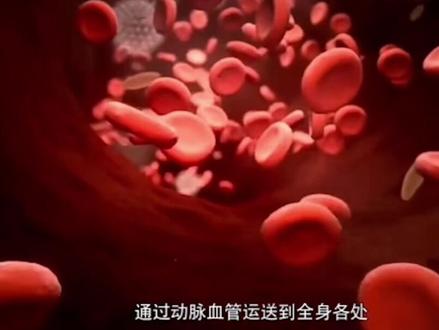 血液是生命之源,是人体生命之本,你真的了解我们身体中的血液吗?观看视频让我们详细了解一下我们身体中的血液#血液#健康养生#血液知识科普# 维持生命健康 @秦臻娇羊 贺彬