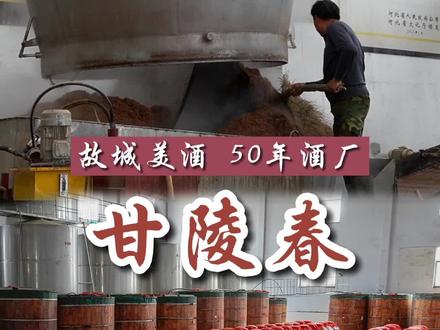 故城郑口50年酒厂,甘陵春!你喝过哪一款呀?#河北美好推荐官 #山东美好推荐官 #故城吃喝玩乐
