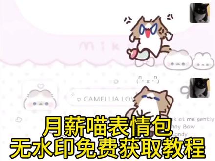 月薪喵表情包免费获取方法 月薪喵表情包免费获取教程来了 月薪喵表情包 小猫表情包 微信小猫表情包叫什么名字 超萌表情包微信关键词 小猫表情包微信怎么搜 小猫表情包 小猫捂鼻子扇空气表情包 #月薪喵表情包 #月薪喵 月薪喵跳舞 小猫捂鼻子扇空气表情包 小猫捂鼻子伤空气表情包获取教程 从#微信表情包 #我真的特别爱你 表情包 #剪映 月薪猫表情包 微信可爱表情包 可爱表情包 表情包 表情包可爱 微信表情包 表情包