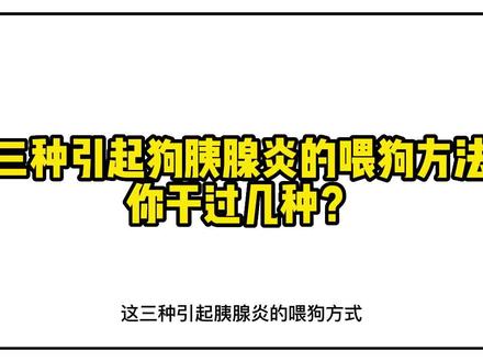 科学养狗导致狗子胰腺炎?原因有3个 90%的铲屎官都干过#科学养宠攻略 #养宠进阶指南 #狗胰腺炎 #预防胰腺炎 #狗粮