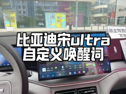 大家提到车还在一直呼喊小迪吗,今天小坏教大家如何 diy 一下!非常好玩!#比亚迪#比亚迪宋ultra#新车上市#我的爱车