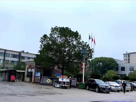 假如家乡还多点这样的企业,那会有多少老人与小孩都会有家人的陪伴!欢迎全国各界人士来我们衡东发展。#衡东 #传递正能量 #抖出你的家乡