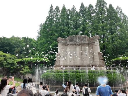 梧桐大道懒人不费腿拍照路线!!#南京 #南京旅游 #旅游攻略 #拍照