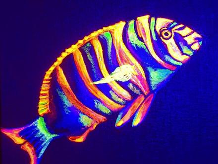 海水荧光画教程#零基础学画画#荧光画 #海缸