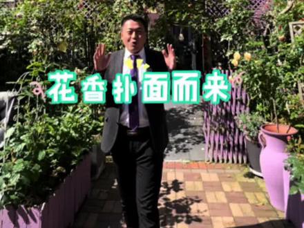 为什么现在大家都喜欢院子,今天看了之后我一个中介也开始喜欢院子了#花园洋房一楼 #花园生活