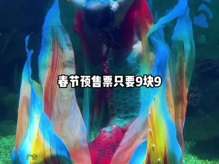 伏羲山新地标扶来洲鸟票9.9 快冲!带家人逛水城、拍美照,年味拉满
#扶来洲山水秘境#伏羲山扶来洲#伏羲山新地标#亲子游玩好去处 #春节去哪玩 @DOU+小助手 @上热门🔥🔥🔥