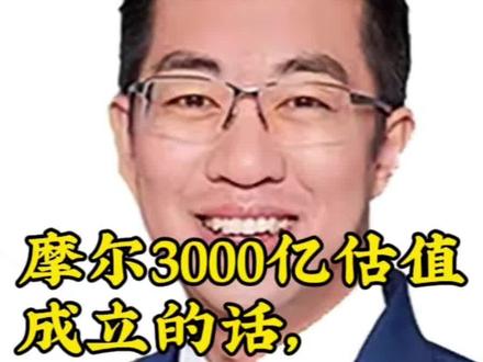 摩尔3000亿估值成立的话,多少科技公司被低估了?答案惊人#摩尔线程 #芯片 #投资 #财经 @吕晓彤的小助理 @吕晓彤