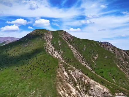 #跟着生命树游德令哈 #生命树#柯鲁柯镇沉浸式影视文旅基地 跟着胡歌杨紫冲!青海首个影视基地1.31开园啦