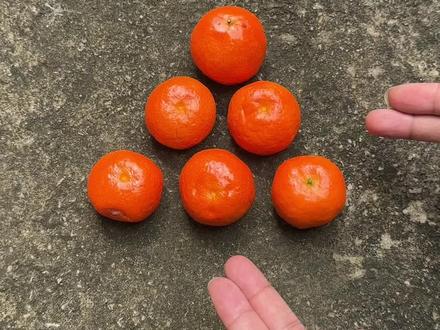 这个橘子空间谜题你看懂了吗? #魔术 #脑洞大开 #动手动脑 #烧脑