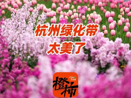 杭州市政是在考虑万一有人想在人行道上结婚吗? #杭州 #绿化带