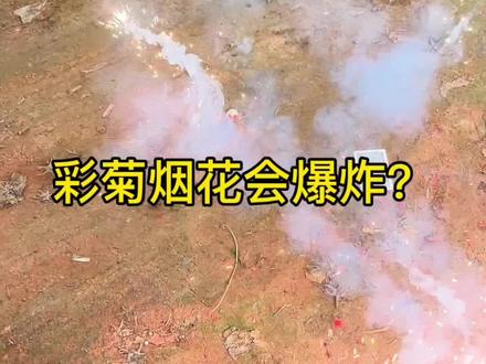 彩菊烟花竟然会爆炸?你们有试过吗? #放鞭炮#搞笑放鞭炮#彩菊烟花