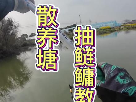 春季散养塘抽鲢鳙保姆级教程:5号主线+2.5号子线,3g三目加粗尾浮漂,鱼竿光威荒武技,鲢鳙饵料:亭林黑坑鲢鳙加志强鲢鳙二代
#抽鲢鳙 #黑坑鲢鳙#黑坑鲢鳙钓法 #原来钓鱼才是抖音运动顶流 #黑坑盘老板