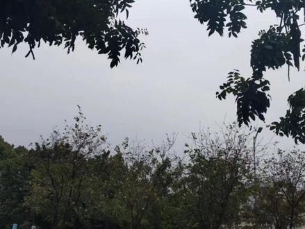 攻略任务失败,我陪伴了八年的竹马最终还是爱上了女主。
曾经少年的他从底层摸爬滚打,将头靠在我的肩膀,哭着说:“我们会永远在一起”
如今他成一方权贵,目光痴痴地追随着女主:“只要是小依,我心甘情愿。”
可是傻瓜,爱上他,你才是最痛苦的啊。
别苑外,正上演着两男争一女的戏码。
“依依跟我走!”
“小依,你不能跟他走!”
听到霍云寂的声音,我匆忙抬眼,就见女主宋依被一个高大俊朗的星人带走。
那是男主季煜,霍云寂呢?
我环顾四周,才在树下找到他落寞背影。
霍云寂拿着酒瓶疯狂灌酒,嘴里呢喃着:“为什么……”
我鼻尖酸涩,最见不得他这副样子。
事实上,早在他准备求婚时我就知道,他注定会失败。
我一把冲上前抢过他的酒瓶摔在地上:“为什么一定要执着于宋依?你就不能回头看看,说不定会有更好人在等你!”
霍云寂没有太大的动作,只说:“宋依跟别人不一样,她是独一无二的。”
他的话像是一把刀,直直插进我的心里。
很疼,却已麻木。
这是多少次了,我已经记不清了
我只知道一旦霍云寂碰上宋依便失了理智。
哪怕我们相伴八年,也不能在他心底留下痕迹。
只因他是书里的深情男二,注定会爱上女主。
【提醒宿主,距离目标完成时间还有最后三天!】
系统的声音响起,这是警告。
我顿了顿,眼睫颤动:“如果宿主主动放弃任务,会怎样?”
【后果无法预计,请宿主谨慎考虑。】
我自嘲一笑,垂在双侧的手紧了又紧。
任务没有必要再做下去了。
我穿书八年,没有朋友,没有知世界里只有一个霍云寂。
当初爱上他时,我就想过。
只要他喜欢我,我愿意为他做任何事,即便是永远留在书中世界。
可如今,这点念想已经在无数次失望中破碎了。
这些年,我眼睁睁看着他被女主虐了无数次,阻拦过,祈求过,可是都没用。
哪怕在那场男二为救女主车祸重伤的剧情中,我拼了命地朝两人飞扑过去。
替代霍云寂被撞后,我躺在地上,血迹模糊了视线
强撑着睁开眼,却只看见他抱着宋依的背影……
事后,他柔着声线道谢::“薇薇,谢谢你救了小依。”
我眸色一怔,被子下的手攥成拳
看吧。
我既改变不了男二孤独终老的结也拯救不了我们的爱情。
一夜未眠。
任务截止的最后一天,我特意画了个精致的妆容,换上漂亮的白裙子
我约了霍云寂出来见面。
见最后一面,我阮薇要体体面面的。
#短篇虐文 #已完结 #随拍