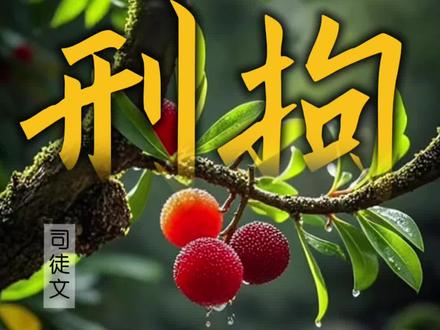 漳州杨梅事件收尾,希望是一次刮骨疗毒 #漳州杨梅 #杨梅泡药水 #杨梅泡药水你还吃吗 #文选司博弈论 #杨梅泡药