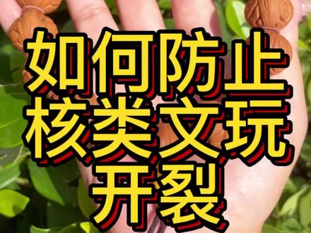 #龙纹桃核 #万物皆可盘 #文玩核桃 如何防止核类文玩开裂,✨✨✨知识点来啦💥💥💥