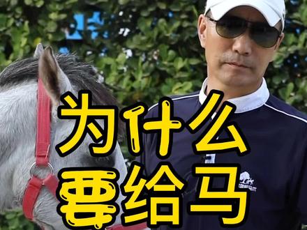 为什么人们要给马钉上马掌?今天可算知道啦! #马术 #冷知识 @抖音小助手
