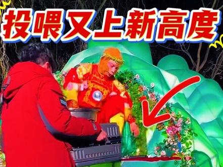 国强大哥投喂猴又上新高度,皮箱加大盆,实力宠猴!#雪饼猴 #雪饼猴王铁柱 #搞笑 #王铁柱