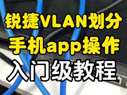 锐捷路由器VLAN划分,手机APP如何进行VLAN划分?#货源#路由器批发#全国发货欢迎合作 #干货分享 #技术分享