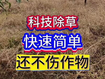 #除草#除草剂#果园除草#自制除草