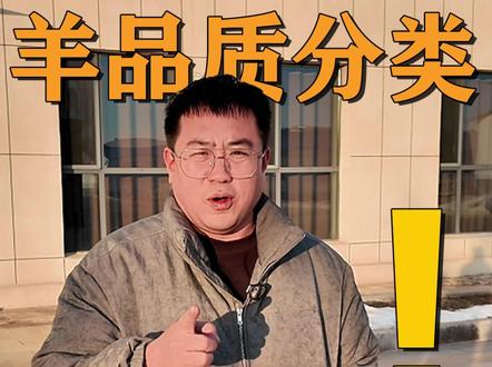 你一定没见过这么多的羊!哪个品种是你的最爱? #养殖 #牛羊养殖 #羊 #牛羊饲料 #养羊人 @抖音创作小助手