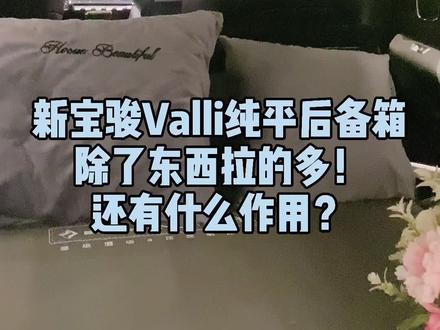 听她说完,你有没有向往的感觉?@抖音小助手 @西北宝骏 #Valli#valli复式大平层轿车