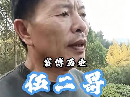 赛博历史:伍二哥 #妈妈熬油 #音乐 #爱你老妈明天见 #人物志