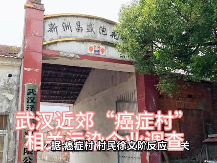 武汉近郊“癌症村”相关污染企业调查 #如何检测水的酸碱度