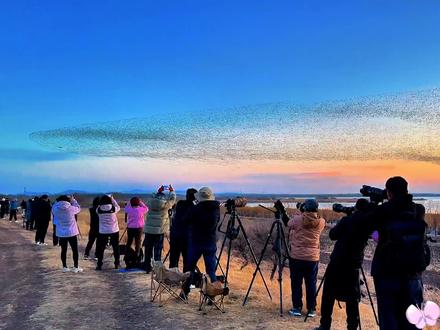 “北冥有鱼竟然是真的”,庄子诚不我欺,原来“鲲鹏”就在山东#北冥有鱼其名为鲲#鲲鹏#逍遥游