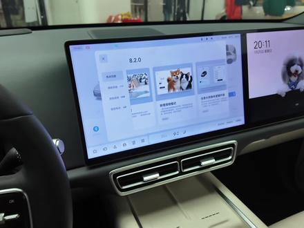 理想汽车,超火爆“宠物模式”,如何设置? #理想汽车 #理想汽车在河北 #毛孩子 #出行搭子