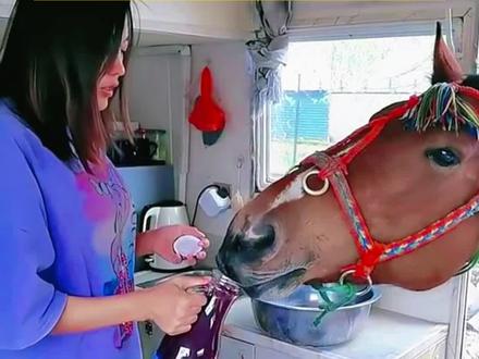 这马真爱喝饮料😄 #搞笑配音 #搞笑视频 #搞笑动物配音