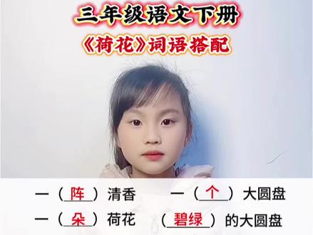 三年级语文下册 第一单元课文《荷花》词语搭配#小学语文 #语文学习 #词语搭配#知识分享