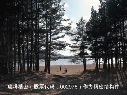 解读分析一家公司 瑞玛精密002976