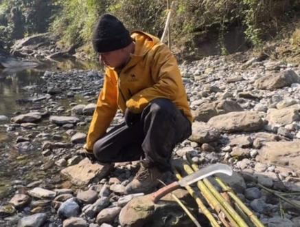 张家界七星山#熊二#网络话题#熊二中毒