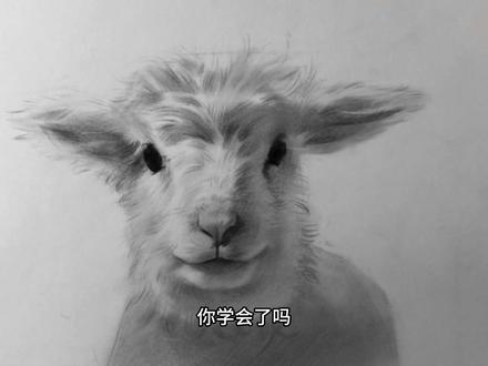 素描 教你画一只羊#素描 #一起学画画