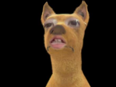 这不是千纸鹤,这是工作
#四代 #TF家族四代 #练习生 #时代峰峻 #TF家族