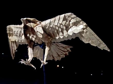 一张纸折一只鹰?这次不是鹰,是隼,隼形目喔#手工制作 #手工艺术 #手工 #现代折纸 #折纸鹰 #折纸#折纸隼 #diy