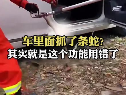 车里面发现爬进出了一条蛇,其实就是这个功能用错了 #行车知识科普#汽车知识#每天一个用车知识