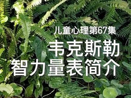 韦克斯勒智力量表简介|儿童心理 #智力测试 #智商 #育儿知识 #亲子教育 #知识分享 #做智慧父母培养优秀孩子 #家庭教育 #父母课堂 #干货分享 #心理知识