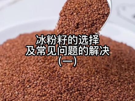 冰粉籽的选择及常见问题的解决,全程干货分享,建议做好笔记! #手工冰粉 #冰粉教程 #冰粉