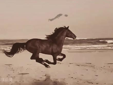 春晚藏大玄机,为何 “马” 撑住全场#科普 #奇闻奇事 #神秘 #春晚