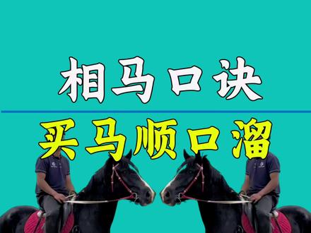 相马口诀,买马顺口溜!