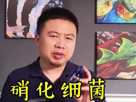硝化菌这事儿,就没一个说明白的,我来说!#观赏鱼 #养鱼 #硝化细菌 #水草造景