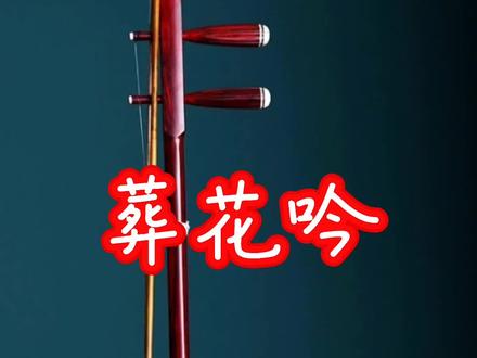 《葬花吟》二胡动态曲谱示范 #二胡演奏 #民族乐器演奏 #二胡教学
