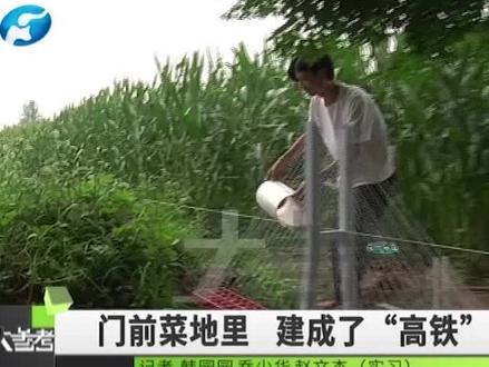 “基建狂魔”,大一学生菜地里建“高铁”!