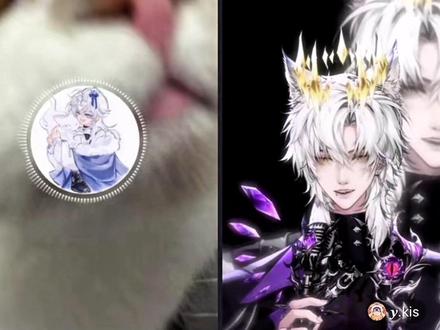 干声山药求返厂!!!(老kis说的😝)#药kis #ykis #r山药 #直播切片 #情侣