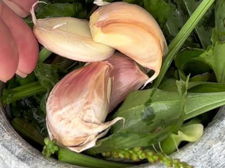 我现在教你一招,不学保证你后悔#老祖宗的智慧