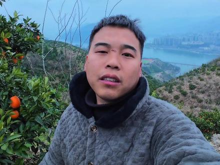 朋友们,你们家的橙子卖几块钱一斤?#农产品 #奉节脐橙 @索图